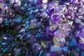 Amethyst crystals Royalty Free Stock Photo