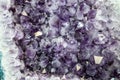 Amethyst druse, amethyst crystals close up view,