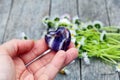 Amethyst heart-shaped gemstone in a hand, ox-eye daisy flowers in the background Royalty Free Stock Photo