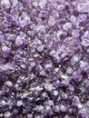 Amethyst is the most appreciated variety of quartz. Its crystals always on a base. Royalty Free Stock Photo