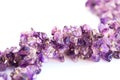 Amethyst necklace Royalty Free Stock Photo