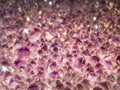 Amethyst purple Crystal Geode inside crystals.