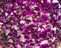 Amethyst purple crystal. Mineral crystals in the natural environment. Texture of precious and semiprecious gemstone