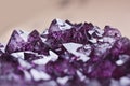 Amethyst quartz Royalty Free Stock Photo