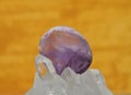 Amethyst on rock crystal Royalty Free Stock Photo