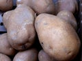 Amey Russet Potatoes at Farmer`s market Royalty Free Stock Photo