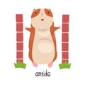 Amid English Language Preposition of Place and Cute Hamster Character, Educational Visual Material for Children
