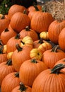 Old Fashioned Orange Pumpkins Royalty Free Stock Photo