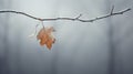 Amid winter\'s grip, a lone leaf clings to the branch, a symbol of quiet strength and serenity