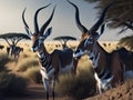 Antelopes walking among sparse trees in an African region