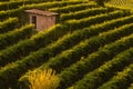 Lonely little shelter amidst vineyards