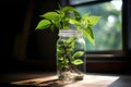 Coins in a transparent glass jar, a vibrant green plant unfurls its delicate leaves. AI Generated