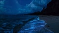 Amidst the darkness of the night the bioluminescent beach glows with a mystical radiance inviting travelers to immerse