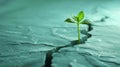Growth and perseverance: Sprout in concrete.