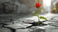 Resilience shown by a plant in cracked concrete.