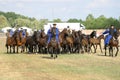 Hungarian herdsmen and Nonius mares in Hortobagy, Hungary