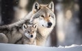 A gray wolf mother and baby loving connection in snow, generative AI