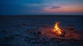 Amidst the quiet darkness of the desert the flickering flames of a campfire create a sense of warmth and comfort. 2d