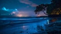 Amidst the quiet lull of the sea the beach comes alive with the soft otherworldly glow of the bioluminescent plankton a