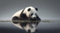 Panda reflecting in murky lake Royalty Free Stock Photo