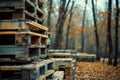 Stacked wooden pallets waiting to be assembled in a forest. Royalty Free Stock Photo