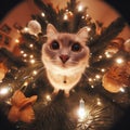 Cat in a Christmas tree