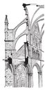 Amiens Cathedral, Cross section, vintage engraving