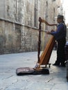 Amigo plaing on a harp