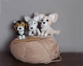 Amigurumi, cute little dogs crocheted