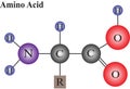 Molecular Structure Of An Amino acid