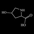 Amino acid Hydroxyproline. Chemical molecular formula Hydroxyproline amino acid. Vector illustration on isolated