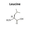 Amino acid Leucine. Chemical molecular formula of amino acid leucine. Vector illustration on isolated background