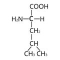 Amino acid Leucine. Chemical molecular formula of amino acid leucine. Vector illustration on isolated background