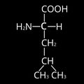 Amino acid Leucine. Chemical molecular formula of amino acid leucine. Vector illustration on isolated background