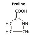 Amino acid Proline. Chemical molecular formula proline amino acid. Vector illustration on isolated background