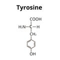 The amino acid Tyrosine. Chemical molecular formula of Tyrosine amino acid. Vector illustration on isolated background