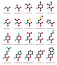 Amino acids, chemical structures: glycine, alanine, valine, leucine, isoleucine, serine, threonine, cysteine, methionine, proline Royalty Free Stock Photo