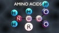 Amino acids molecular structure