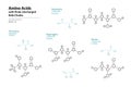 Amino Acids with Polar Uncharged Side Chains. Threonine, Glutamine, Asparagine, Serine. Structural Chemical Formula and Line Model