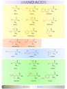 Amino acids table