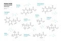 Amino Acids. Tryptophan, Tyrosine, Phenylalanine, Leucine, Alanine, Isoleucine, Valine, Methionine. Structural Chemical Formula Royalty Free Stock Photo