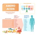 Amino acids vector illustration. List with food and essential acids.