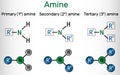 Amino group (primary, secondary, tertiary). It is functional group comprised of nitrogen atom linked with a lone pair