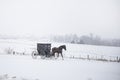 Bloomfield Iowa Amish horse and buggy in snow storm Royalty Free Stock Photo