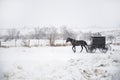 Bloomfield Iowa Amish horse and buggy in snow storm Royalty Free Stock Photo