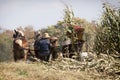 Amish autumn harvest Royalty Free Stock Photo