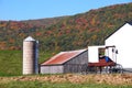 Amish Barn with a Buggie Royalty Free Stock Photo