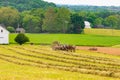 Amish boy and girl baling hay in a field in Pennsylvania USA