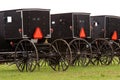 Amish buggies 5 Royalty Free Stock Photo