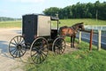 Amish Buggy Royalty Free Stock Photo